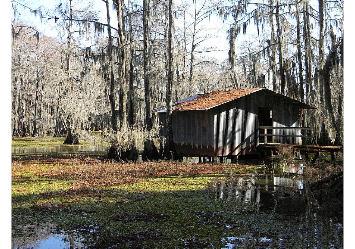 Cajun Foods