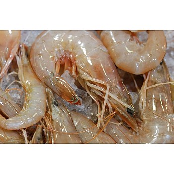 16/20 Gulf White Shrimp - Jumbo (Heads-On) IQF