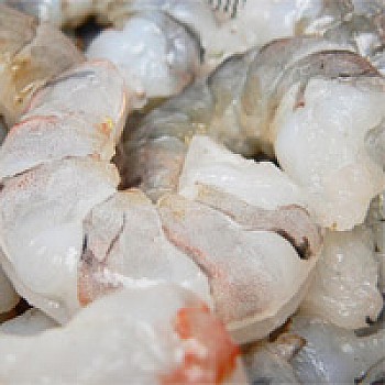 21/30 Gulf White Shrimp (Peeled) IQF