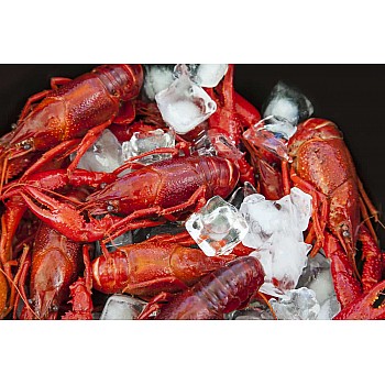 Louisiana Whole Boiled Crawfish 5 lbs with Seasoning