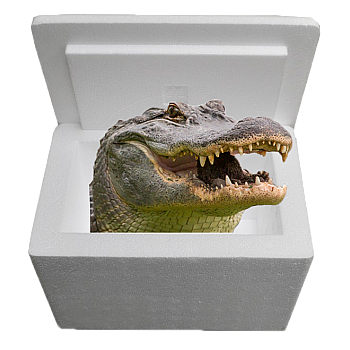 Louisiana Alligator Sampler Cooler