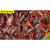 Live Crawfish Washed Field Run with seasoning 60 lb